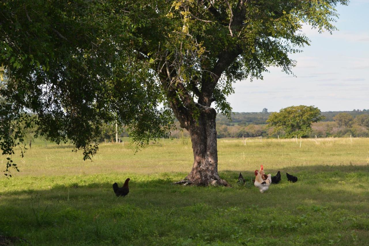 Estancia El Cangue Porvenir Buitenkant foto