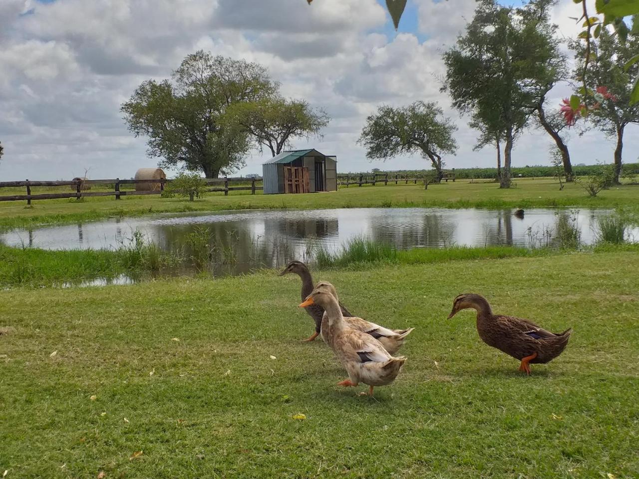 Estancia El Cangue Porvenir Buitenkant foto